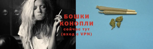 гидра Белокуриха