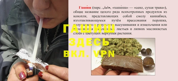 гидра Белокуриха