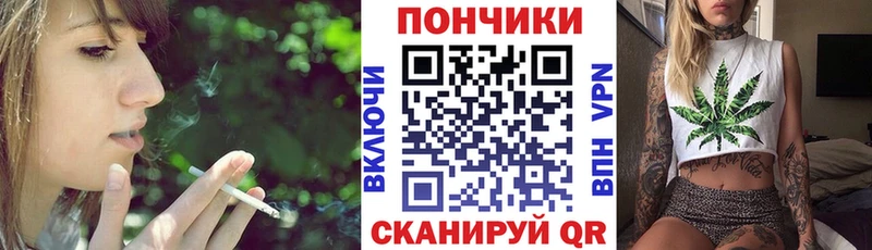Каннабис Amnesia  Купить закладки  Шуя 